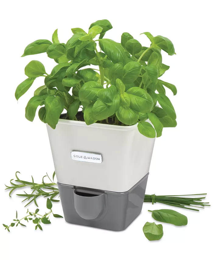 DKB HOUSEHOLD USA CORP Cole and Mason Self-Watering Potted Herb Keeper