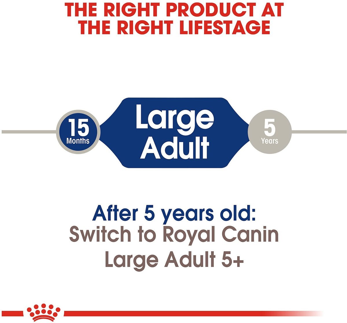 Royal Canin Size Health Nutrition Large Adult Dry Dog Food