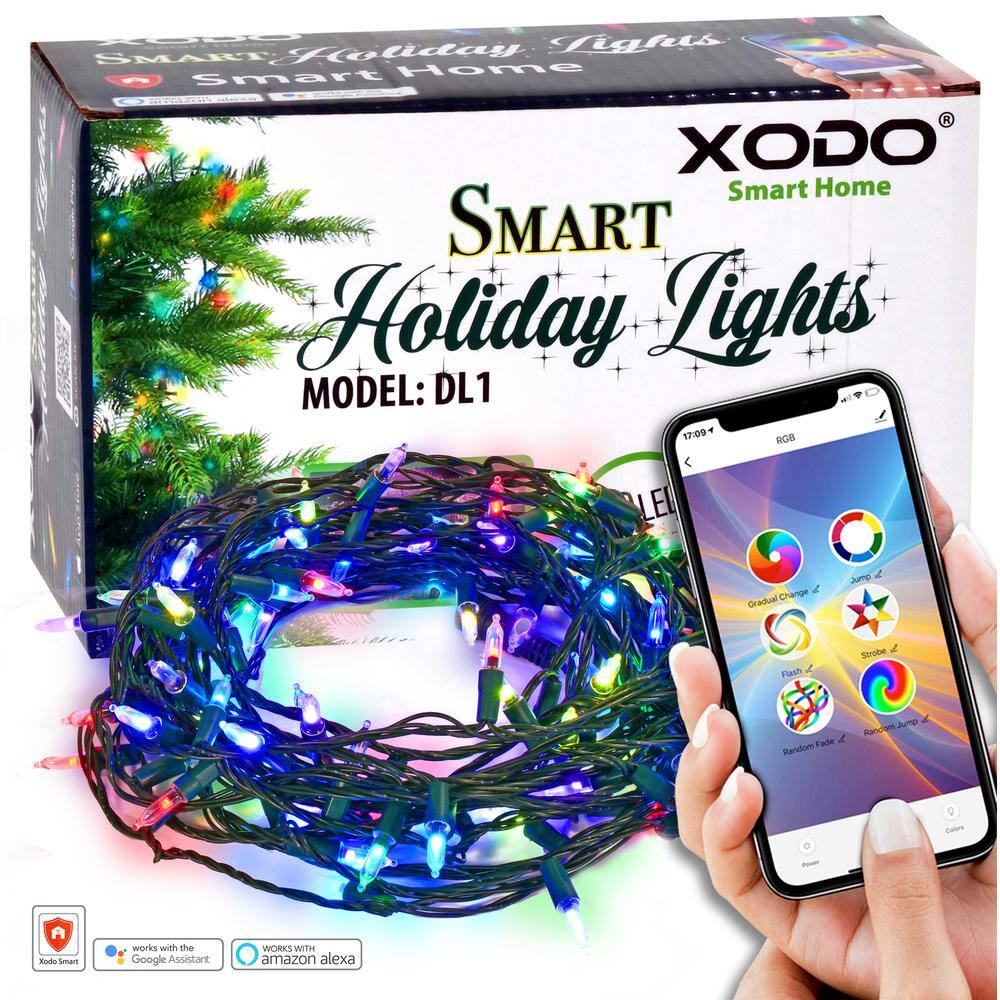 Xodo Smart Christmas Lights OutdoorIndoor 35 ft. Plug-In Globe Bulb LED String Light Compatible with AlexaGoogle Assistant DL1