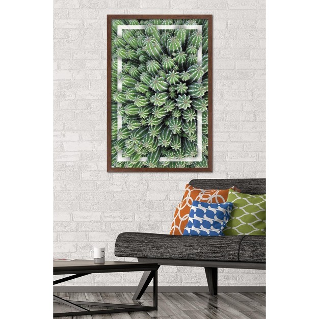 Trends International Cactus Group Framed Wall Poster Prints