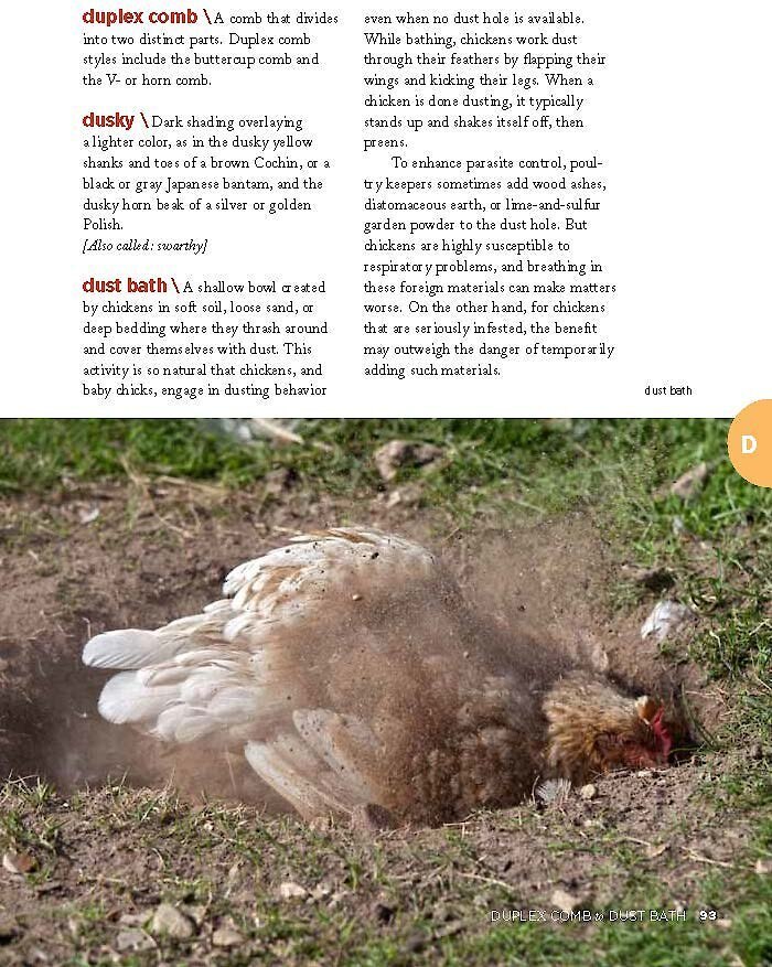 Chicken Encyclopedia