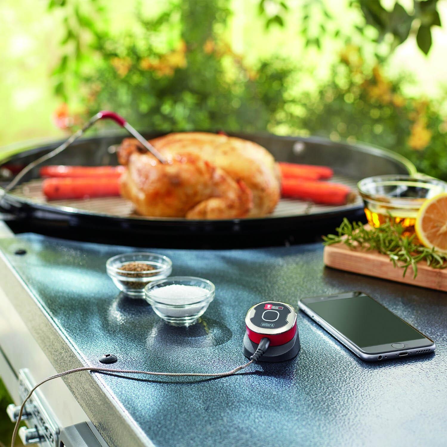 Weber 7202 iGrill Mini Smart LED Wireless Bluetooth Grill Thermometer With Single Probe