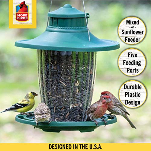 More Birds Large Lantern Bird Feeder， Wild Bird Feeder， 5 Feeding Ports， 3.8-Pound Seed Capacity， Green