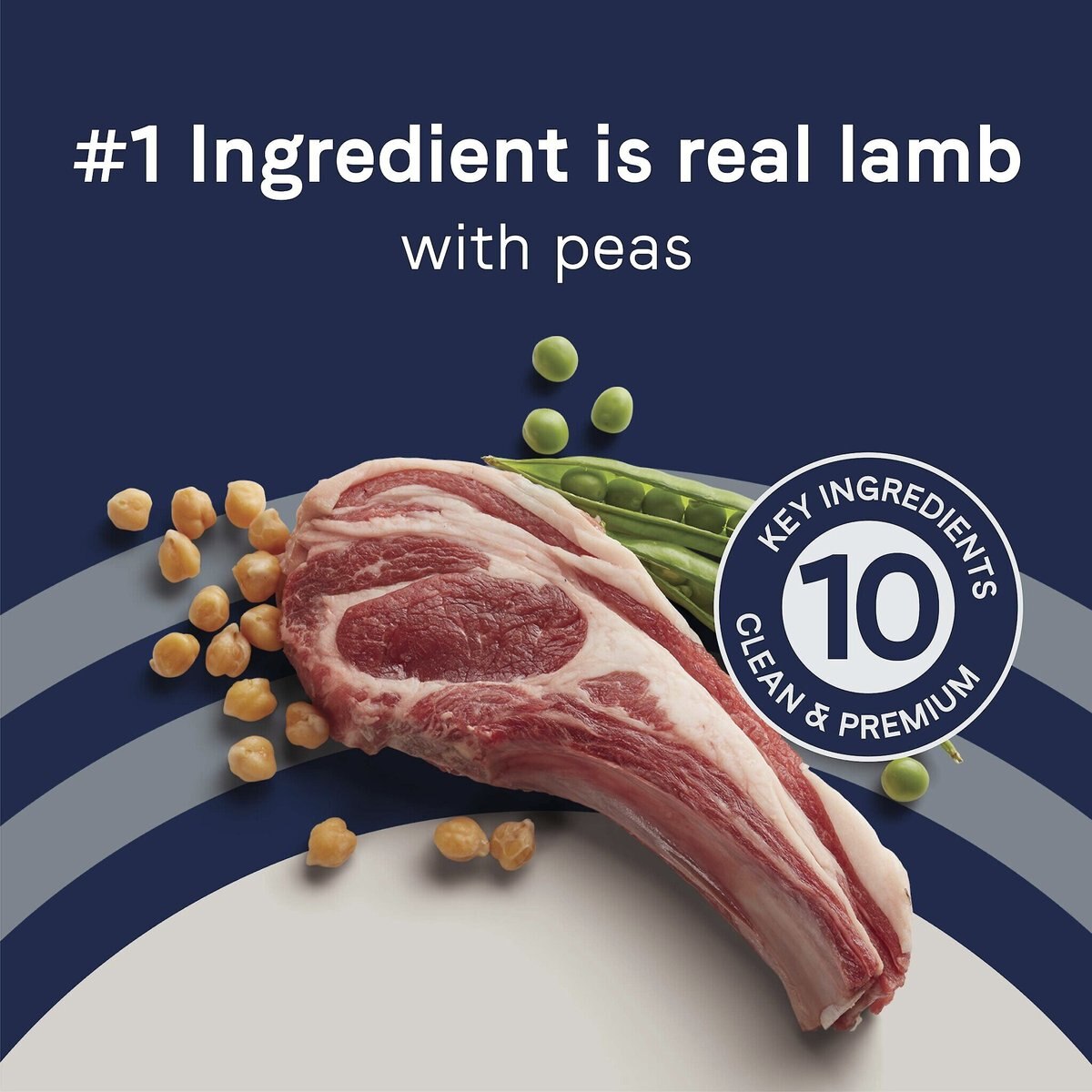 CANIDAE Pure Goodness Real Lamb and Sweet Potato Recipe Adult Dry Dog Food