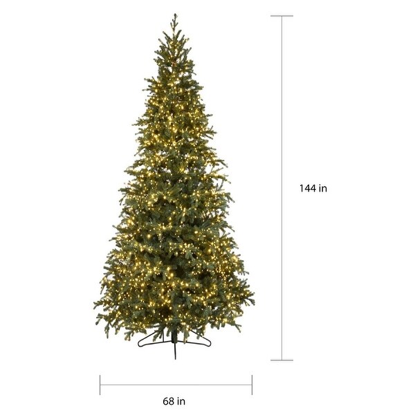 Forever Tree 12' Slim Carolina Fraser Fir (8 Functions)