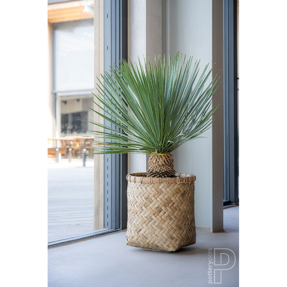 Pottery Pots Zayn Bamboo Indoor Outdoor Round Planter  Natural Finish