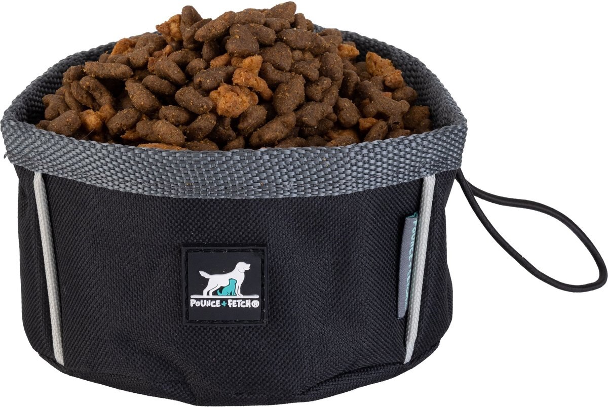 Pounce + Fetch Foldable Travel Dog and Cat Bowl， 3-cup