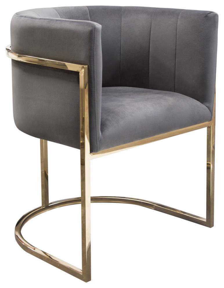 Pandora Dining Chair  Gray Velvet With Polished Gold Frame by Diamond Sofa   Contemporary   Dining Chairs   by Morning Design Group  Inc  Houzz