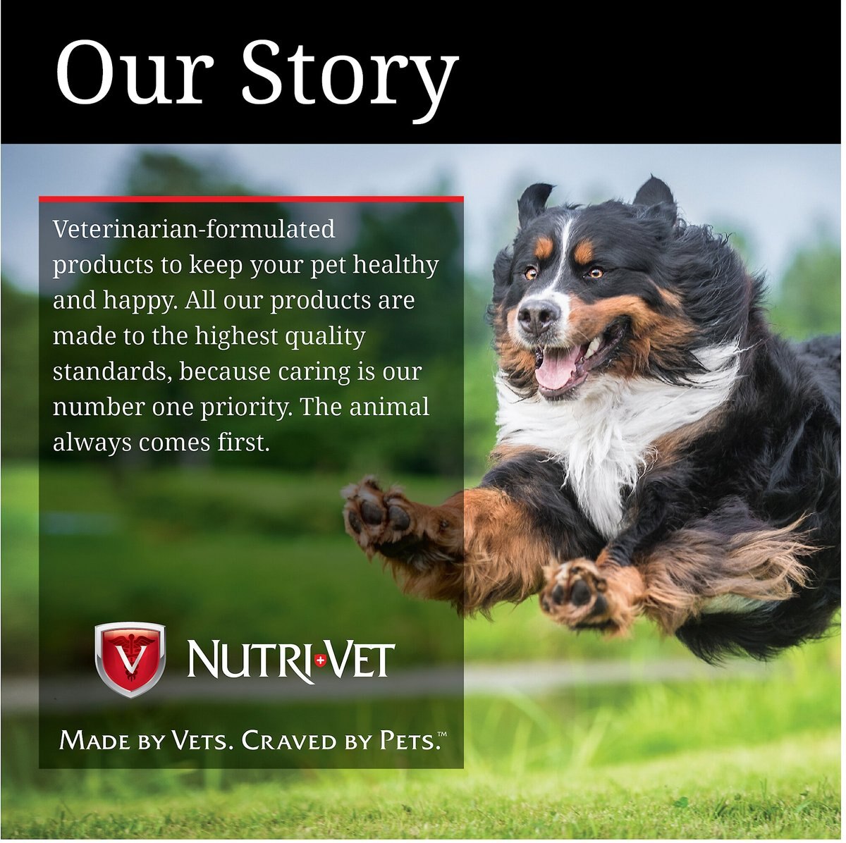 Nutri-Vet Probiotics Capsules Digestive Supplement for Dogs