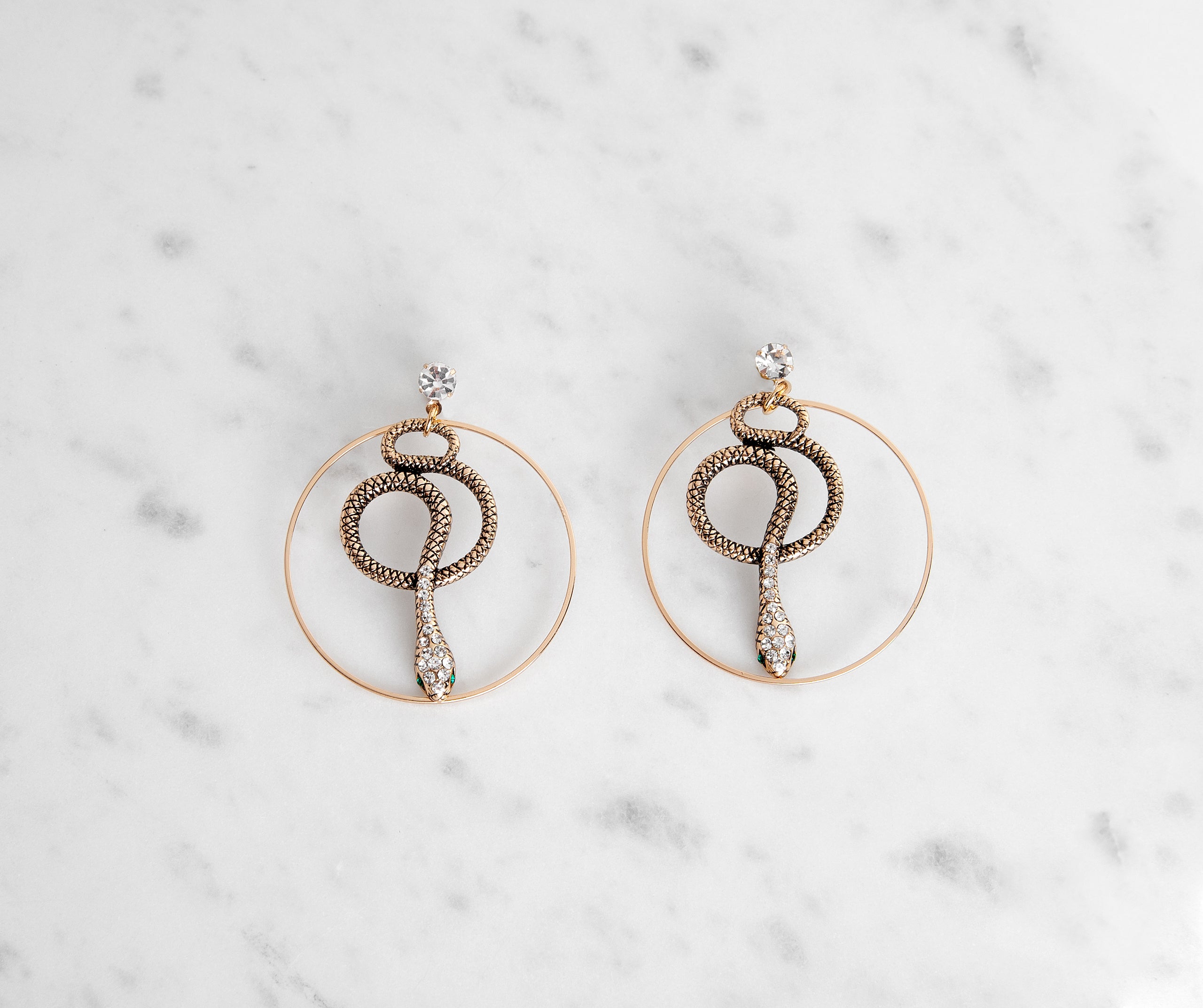 Charming Snake Hoop Earrings