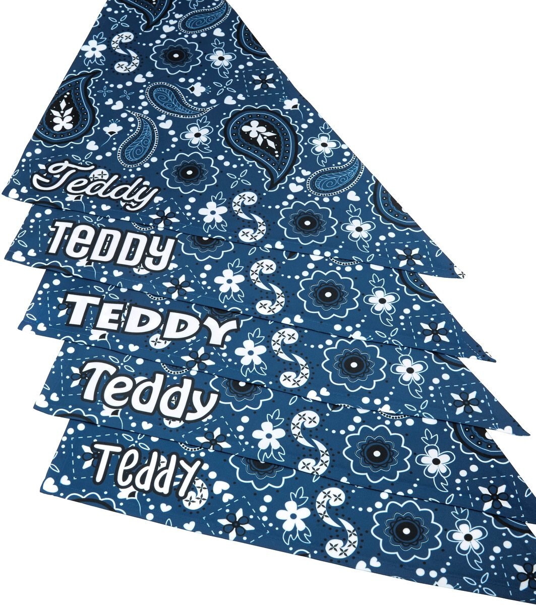 Frisco Paisley Printed Personalized Dog and Cat Bandana