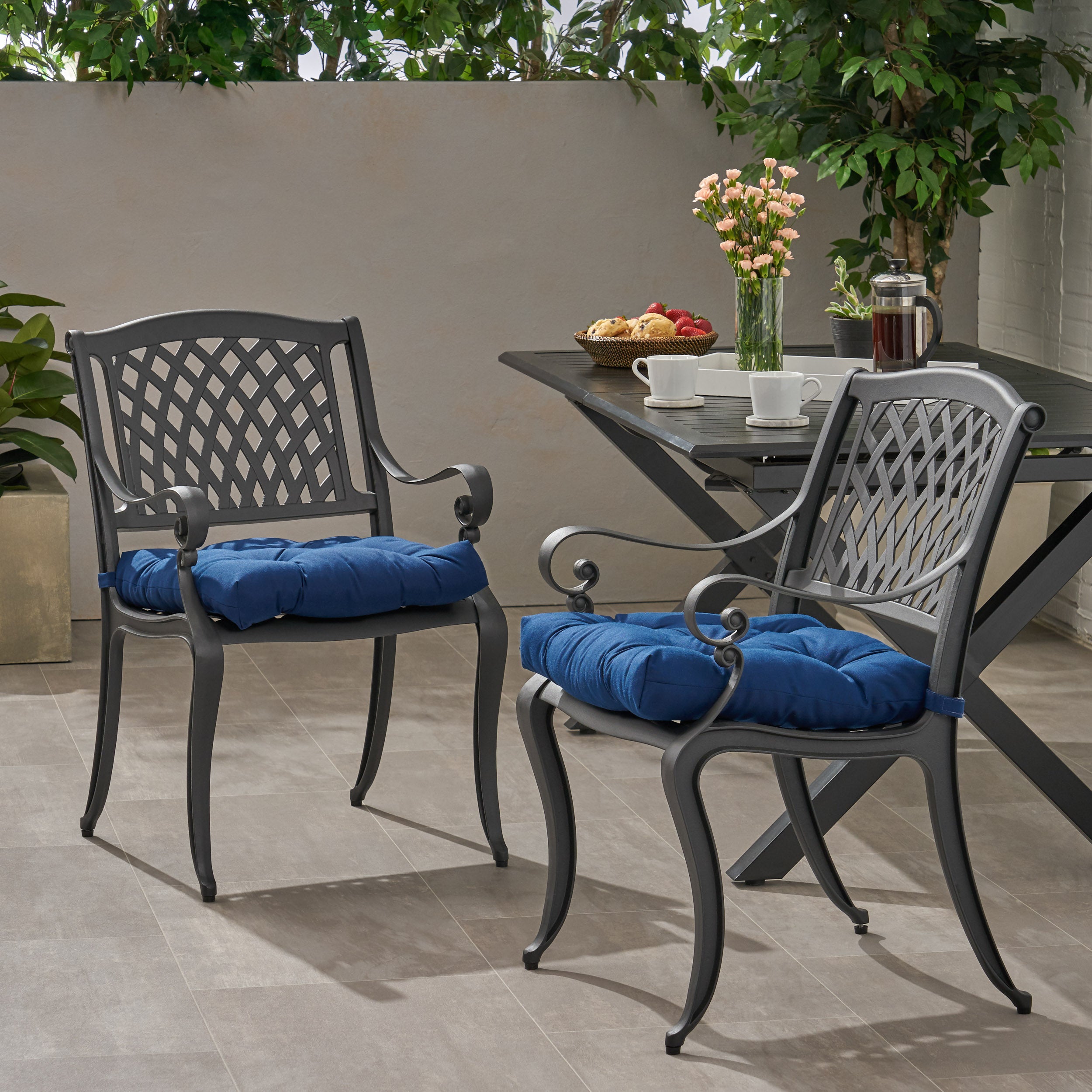 Allee Outdoor Dining Chair with Cushion (Set of 2)