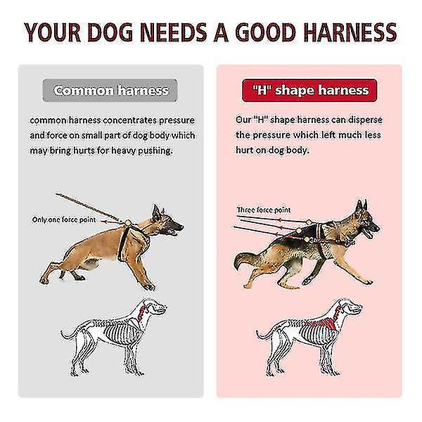 Genuine Leather Dog Harness For Walks Training Big Dog Pulling Harness Exercise