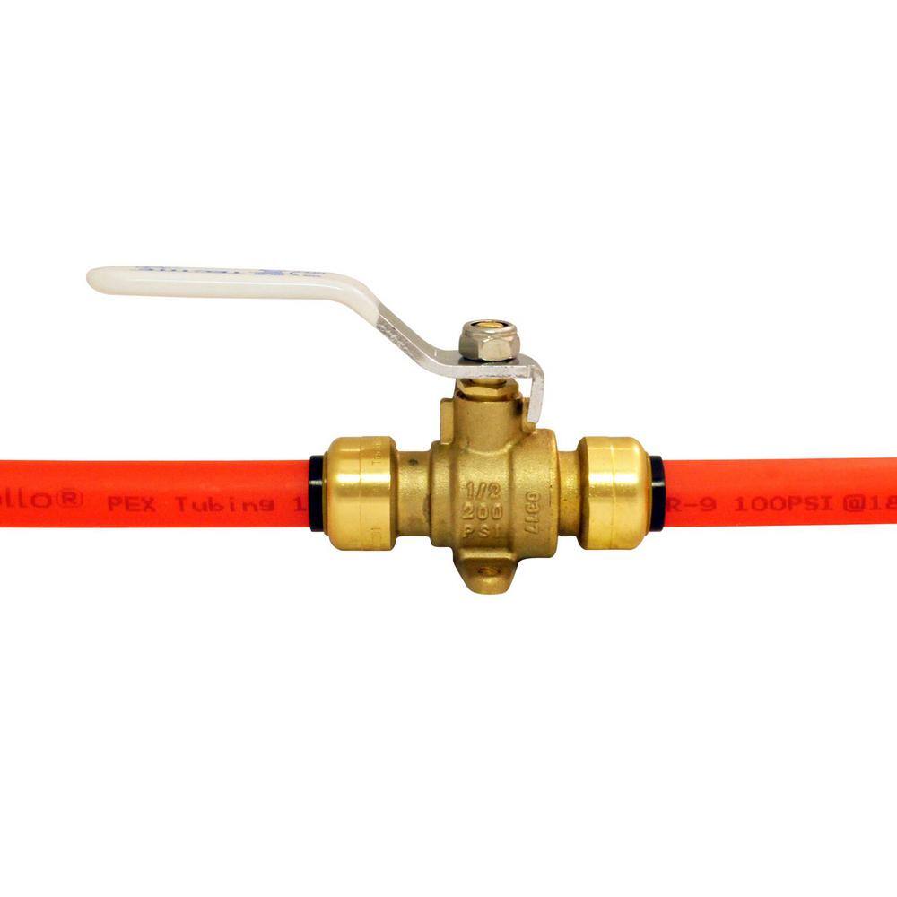 Tectite 12 in. Brass Push Ball Valve with Flange and Drain FSBBV12DE