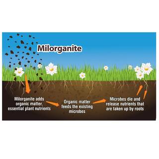 Milorganite 32 lbs. Slow-Release Nitrogen Fertilizer 100539618