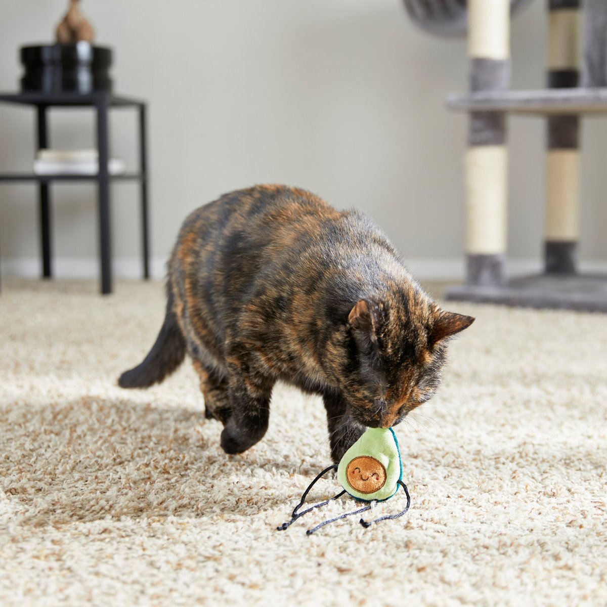 Frisco Plush Dangly Avocado Buddy Cat Toy with Catnip