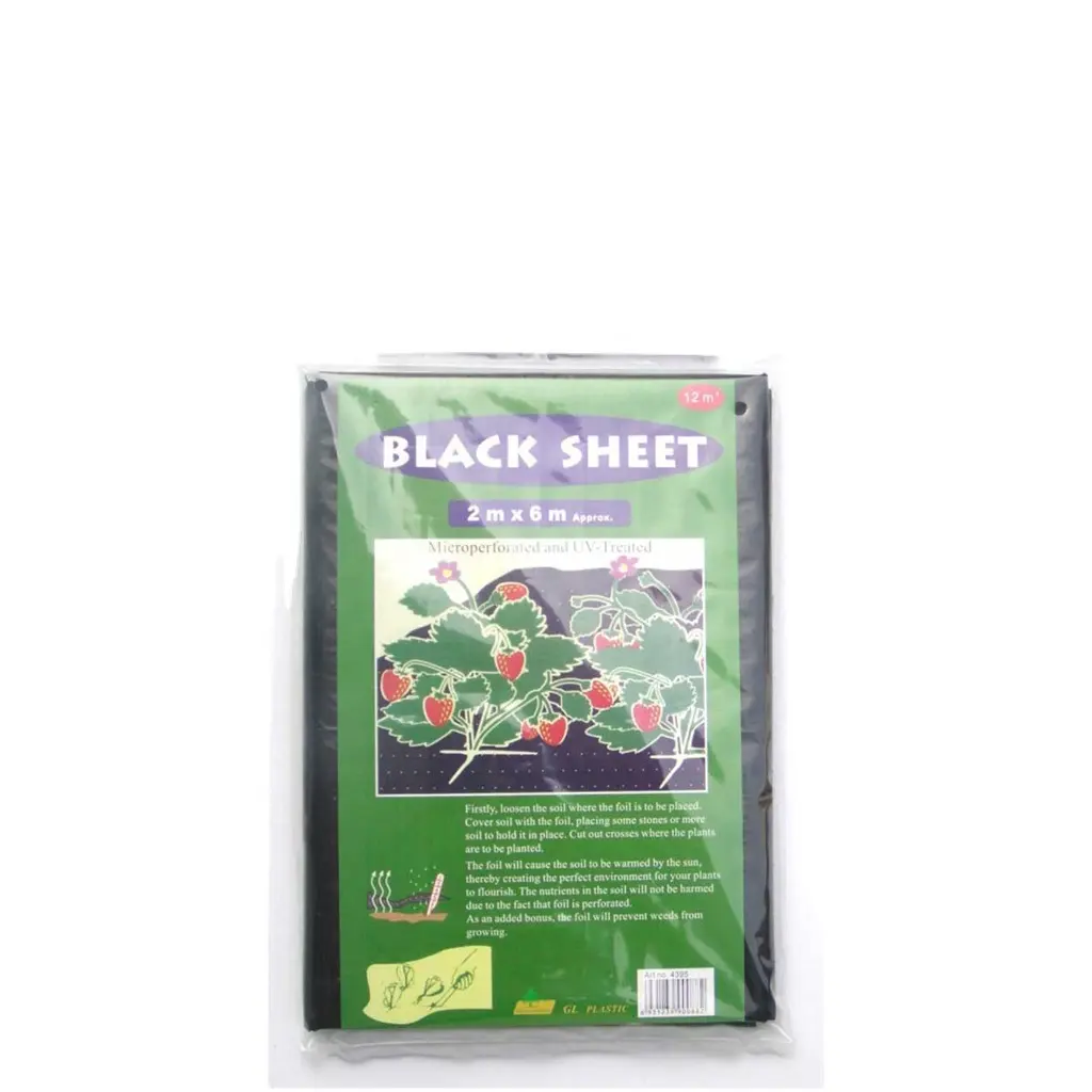 Mulch Film Outdoor Plant Covers Perforated Polythene For Agriculture Ground Cover