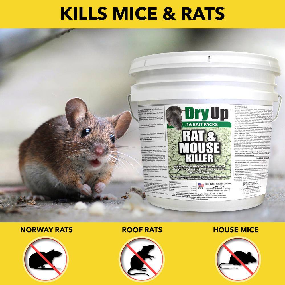 Harris 4 lbs. Dry Up Rat and Mouse Killer Pellets (4 oz. 16-Pack) DRY-BUCK16