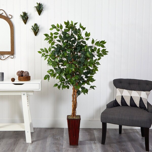 5.5' Ficus Tree w/Bamboo Planter