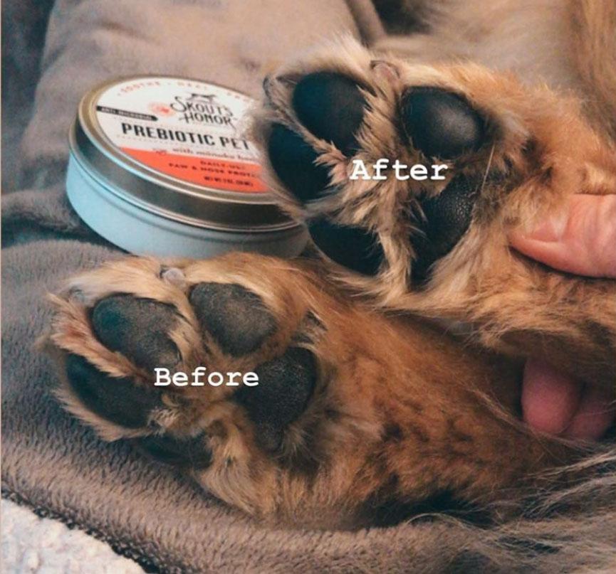 Skouts Honor Prebiotic Pet Balm for Dogs  Cats