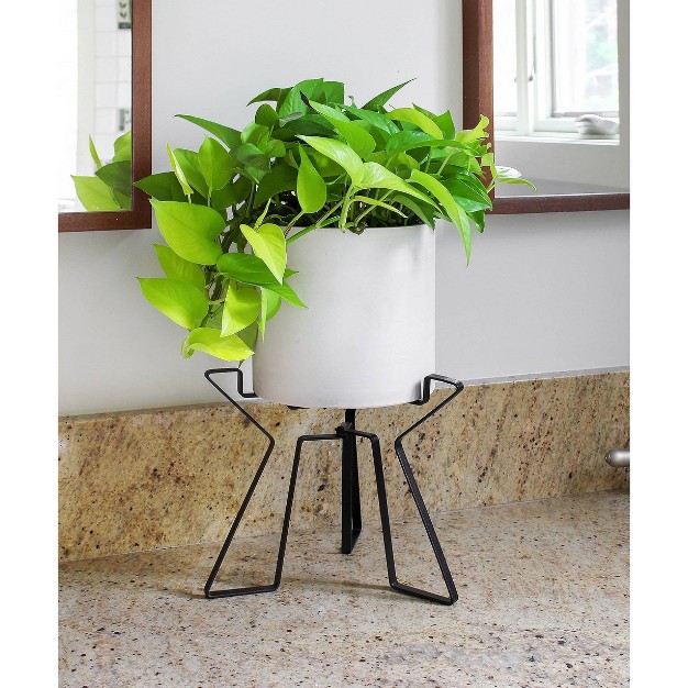 Simple Folding Tabletop And Floor Florence Iron Plant Stand Black Powder Coat Finish Achla Designs