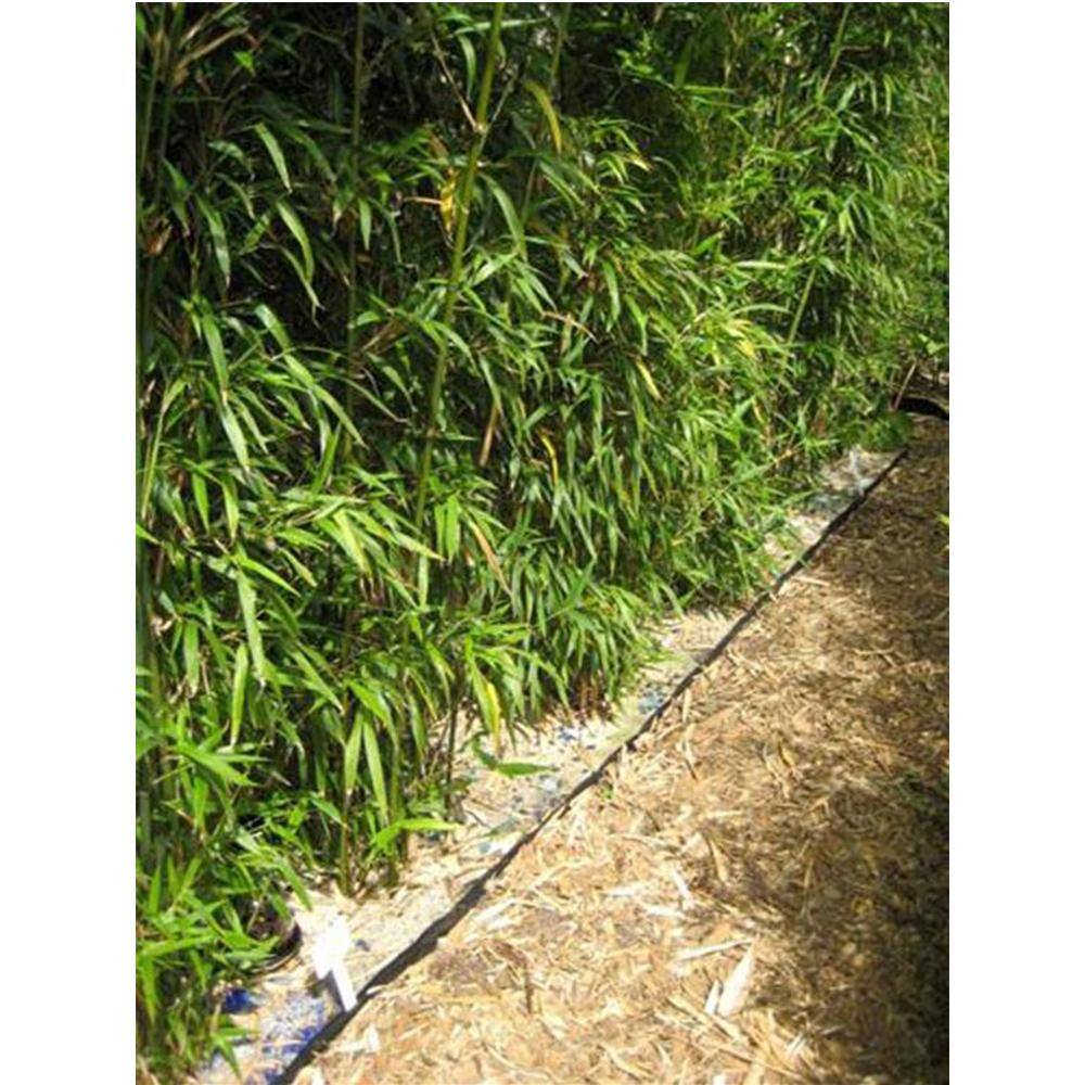 1.5 ft. x 50 ft. 0.060 Polyethylene Water Bamboo Barrier CWB1850