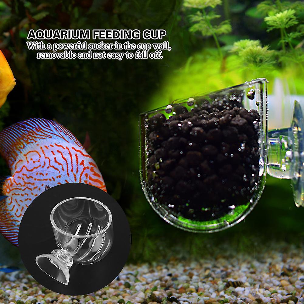 Transpatent Acrylic Feeding Cup Fish Red Worm Feeder Cups For Aquarium