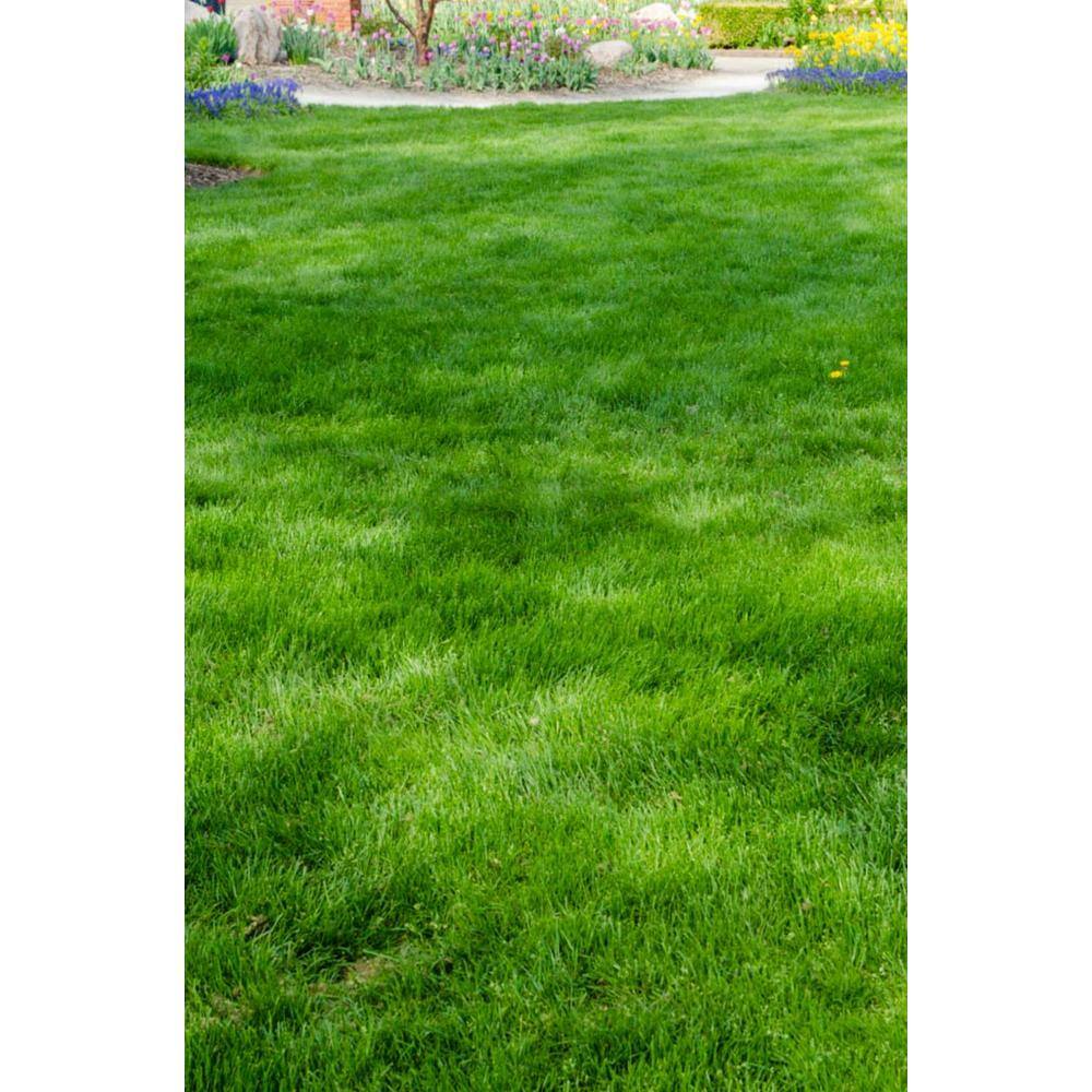 Gardens Alive! 6 lbs. All-Ways Greener Grass Seed Mixture 4340