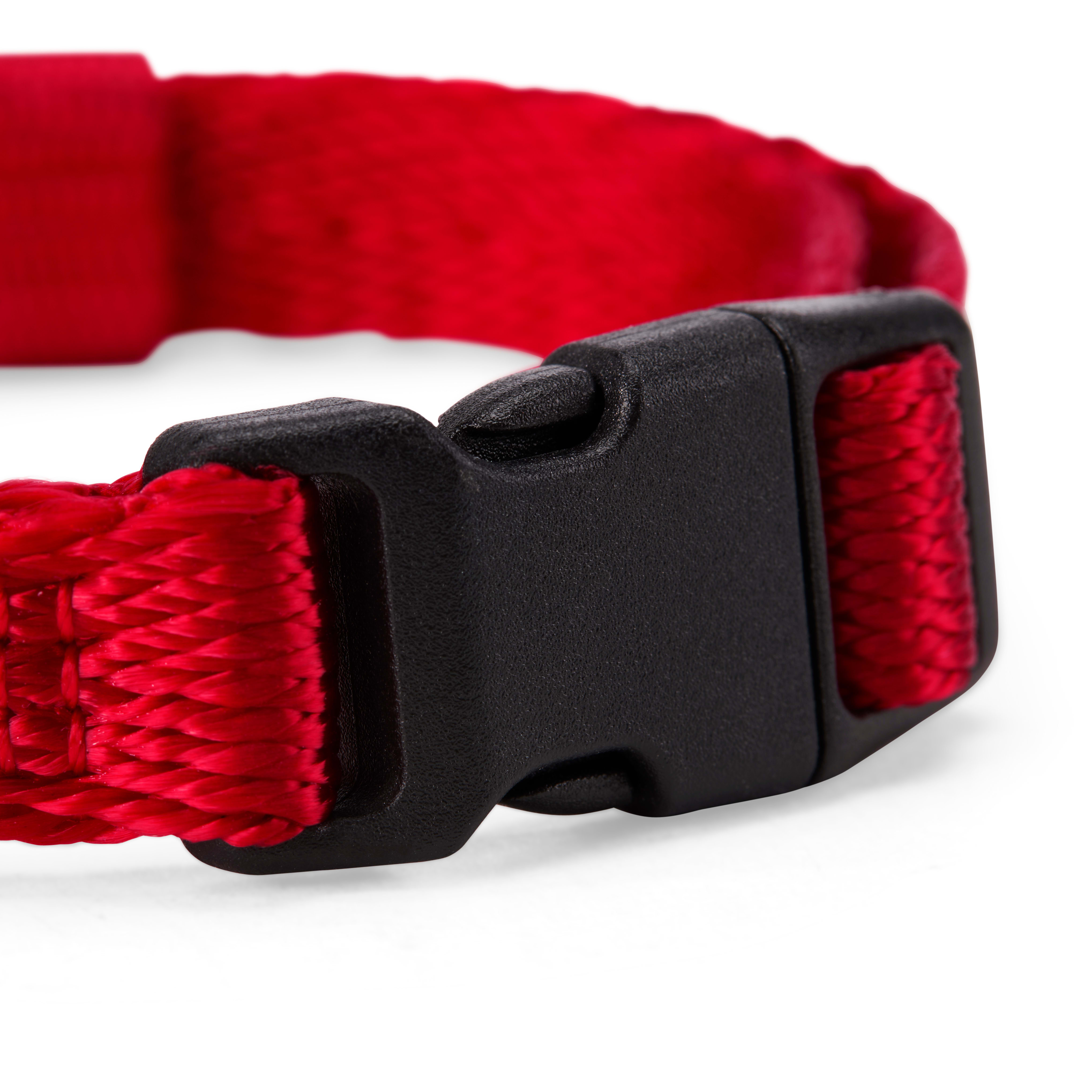 YOULY The Classic Red Webbed Nylon Dog Collar， Small