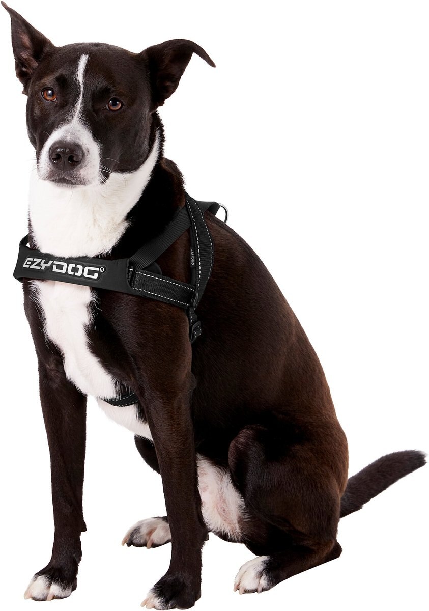 EzyDog Quick Fit Dog Harness