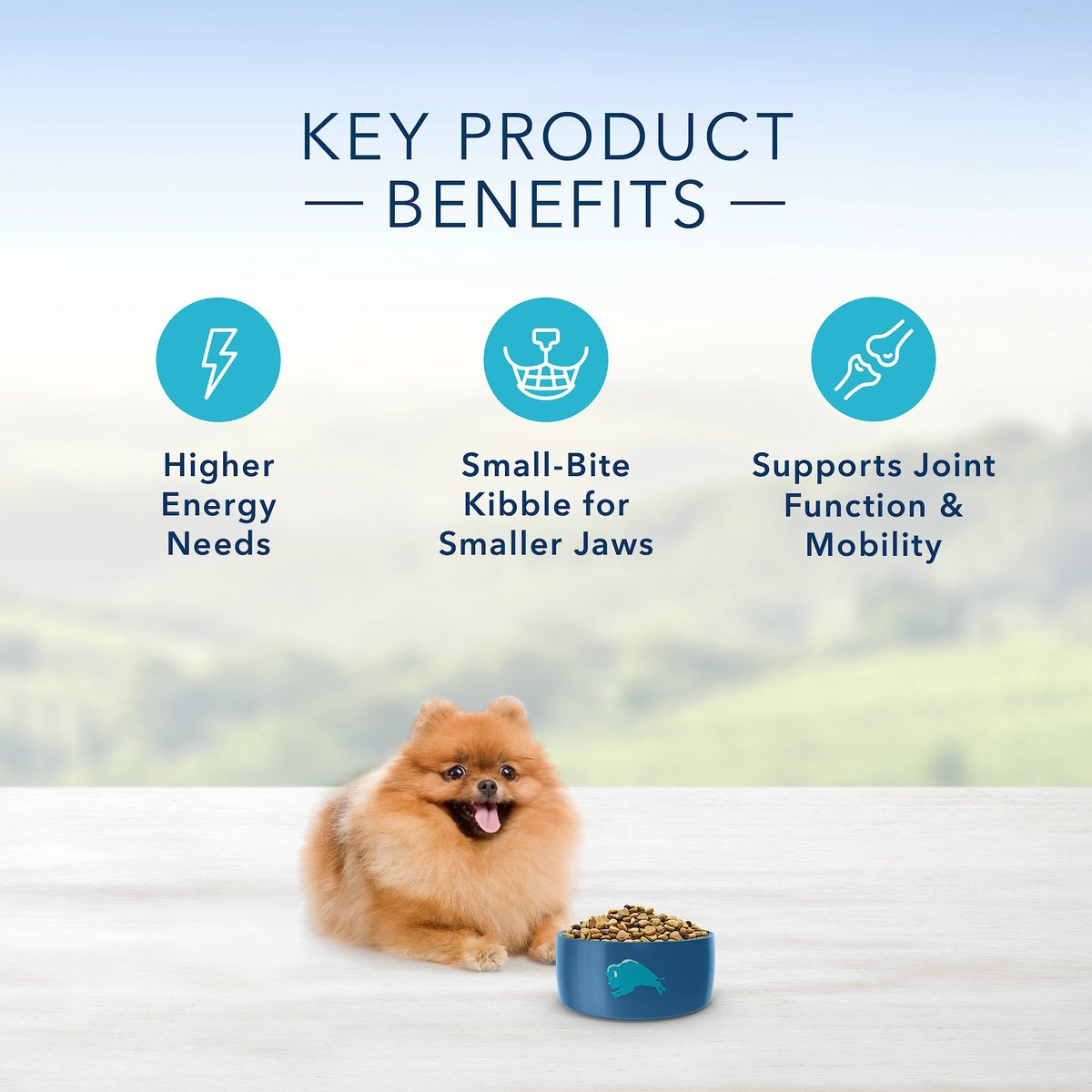 Blue Buffalo Life Protection Formula Toy Breed Adult Chicken and Brown Rice Recipe Dry Dog Food