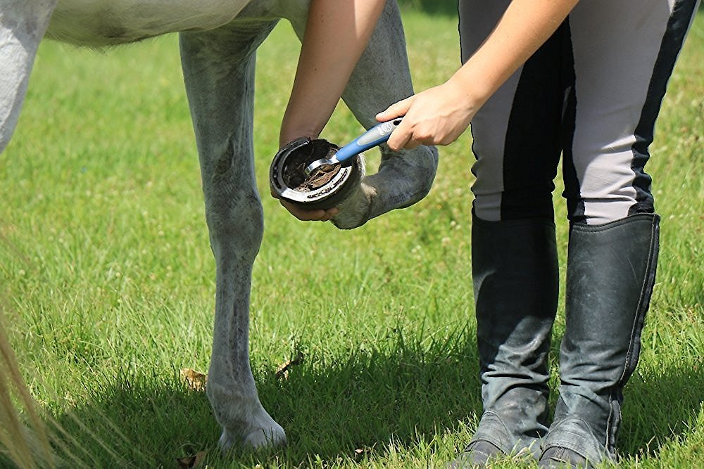 Oster Equine Care Horse Hoof Pick