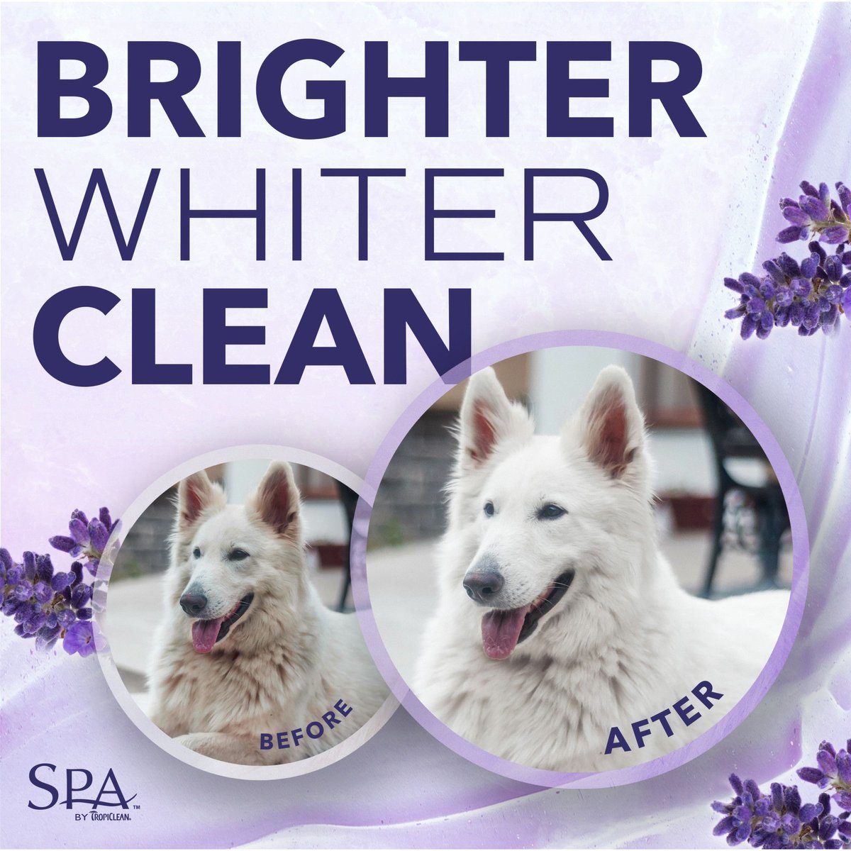 TropiClean Spa Color White Coat Shampoo for Dogs and Cats