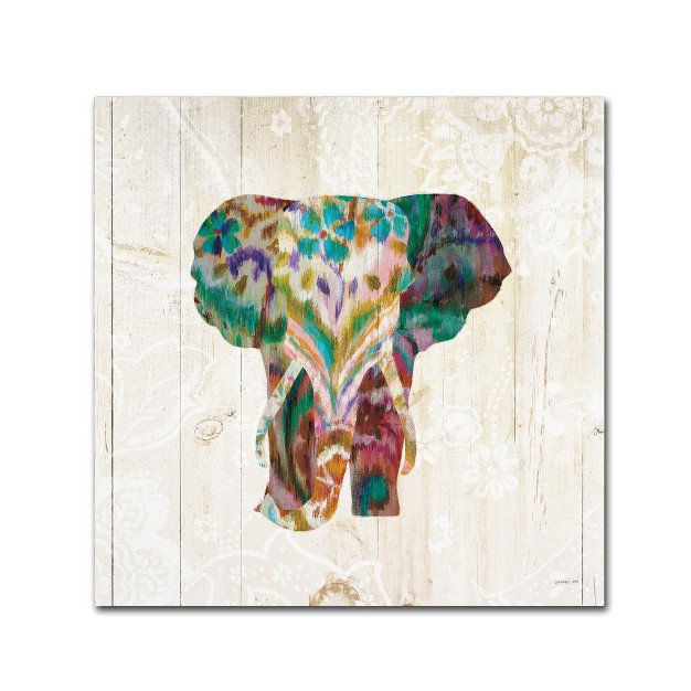 Trademark Fine Art danhui Nai x27 boho Paisley Elephant Iii x27 Canvas Art