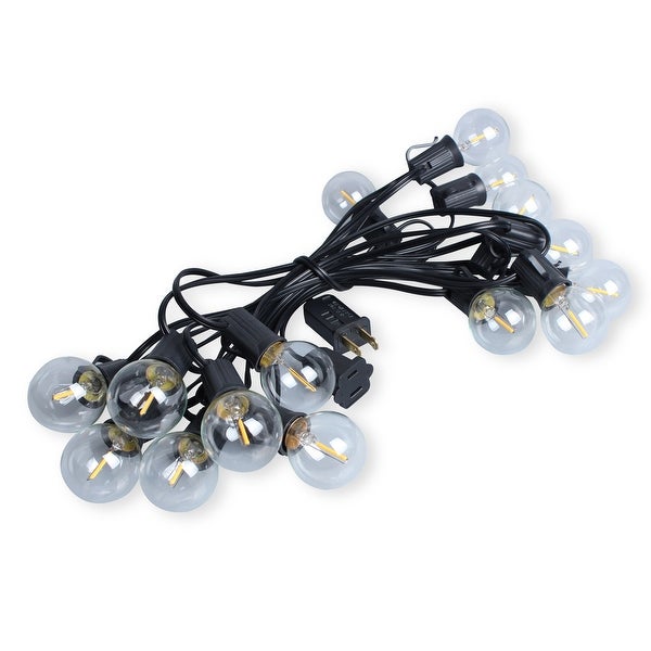 LEDPAX 50-Light 50 ft. Indoor and Outdoor LED String Light， Black (2 Pack) - 50 Foot Shopping - The Best Deals on String Lights | 39699986