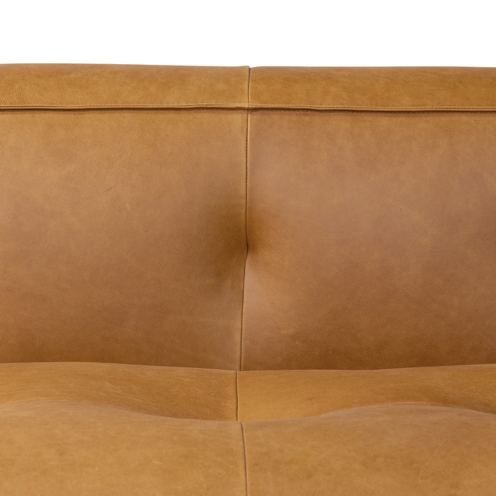 Poly and Bark Capa Sofa   Transitional   Sofas   by Edgemod Furniture  Houzz