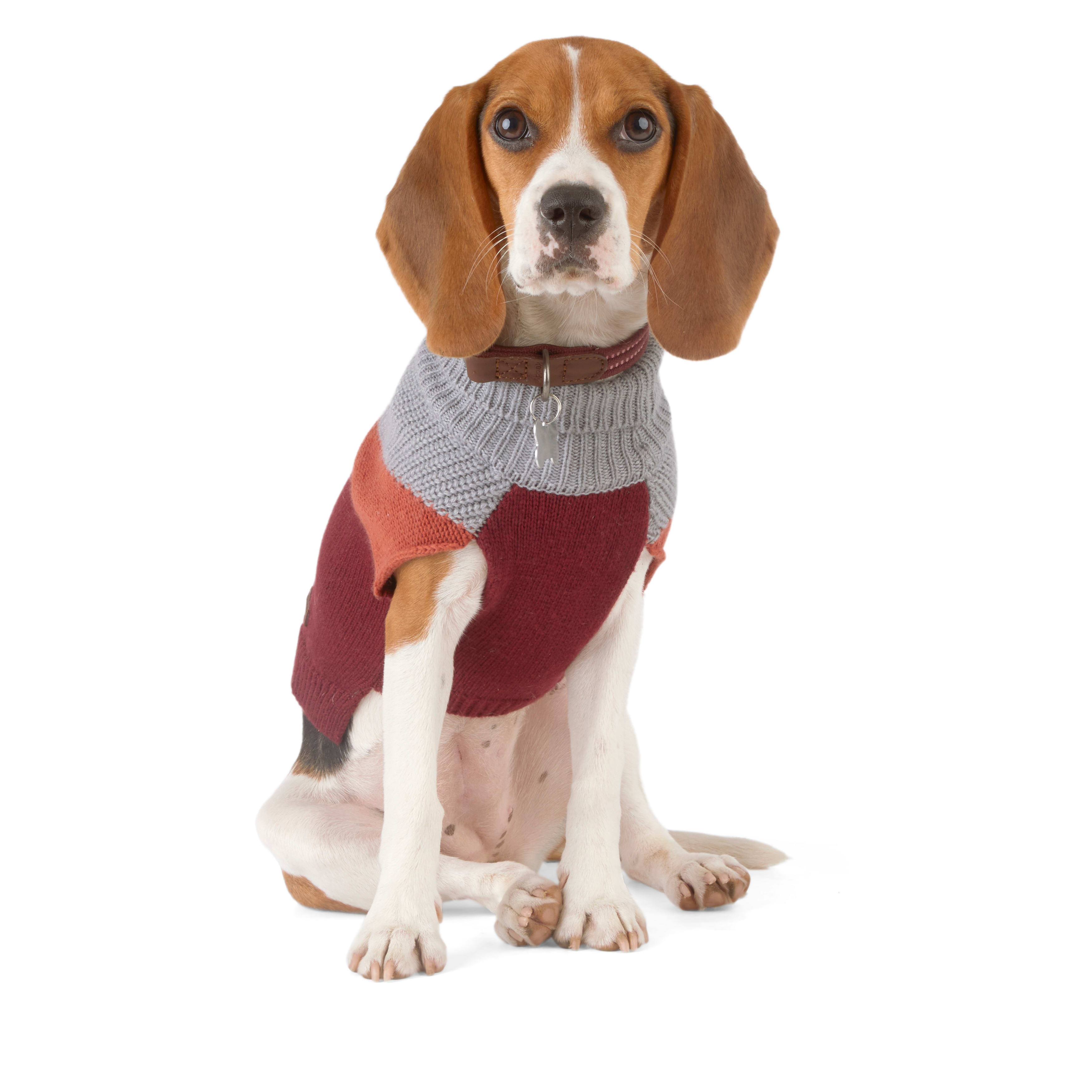 Reddy Burgundy Colorblock Dog Sweater， X-Small