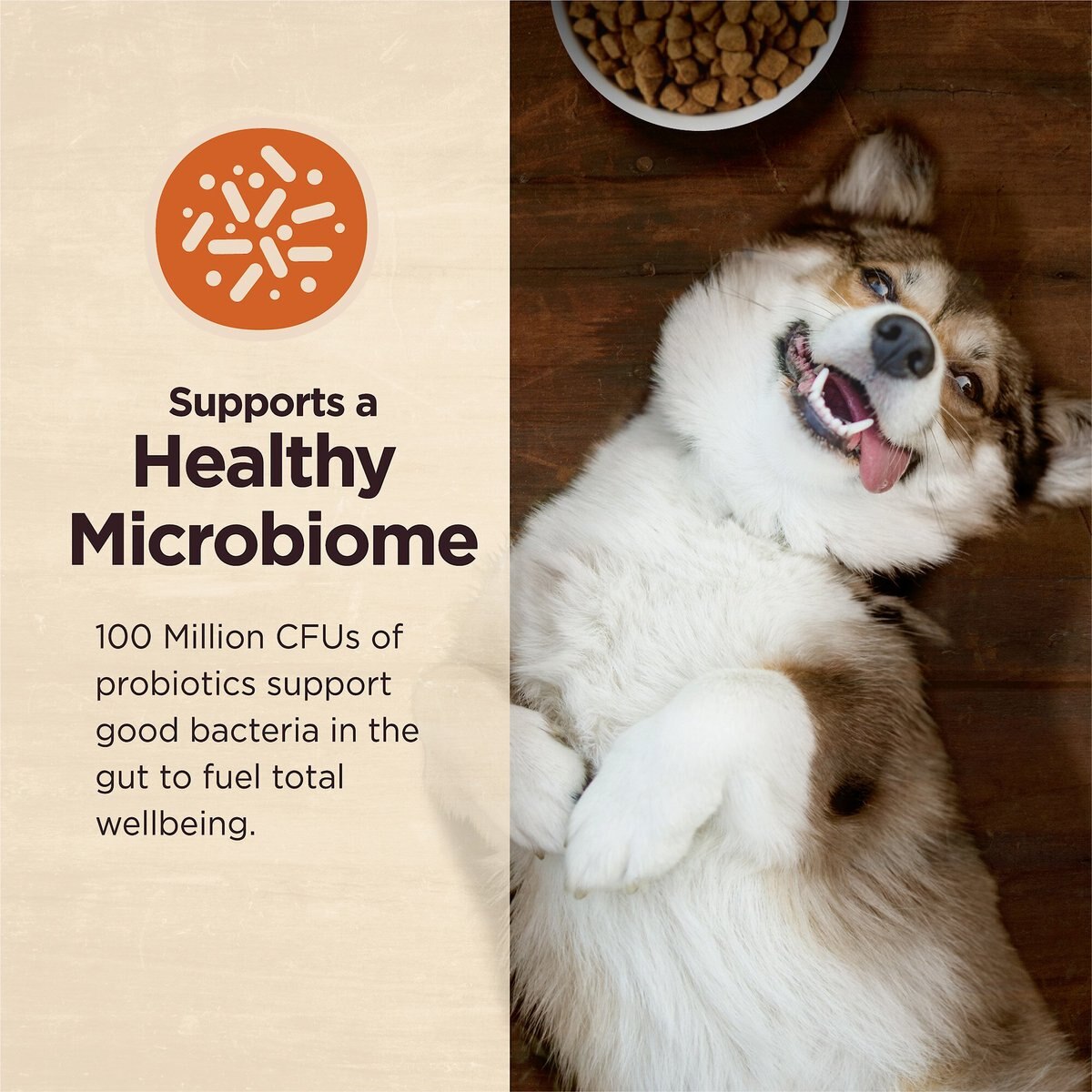 Wellness CORE Digestive Health Wholesome Grains Chicken and Brown Rice Recipe Small Breed Dry Dog Food