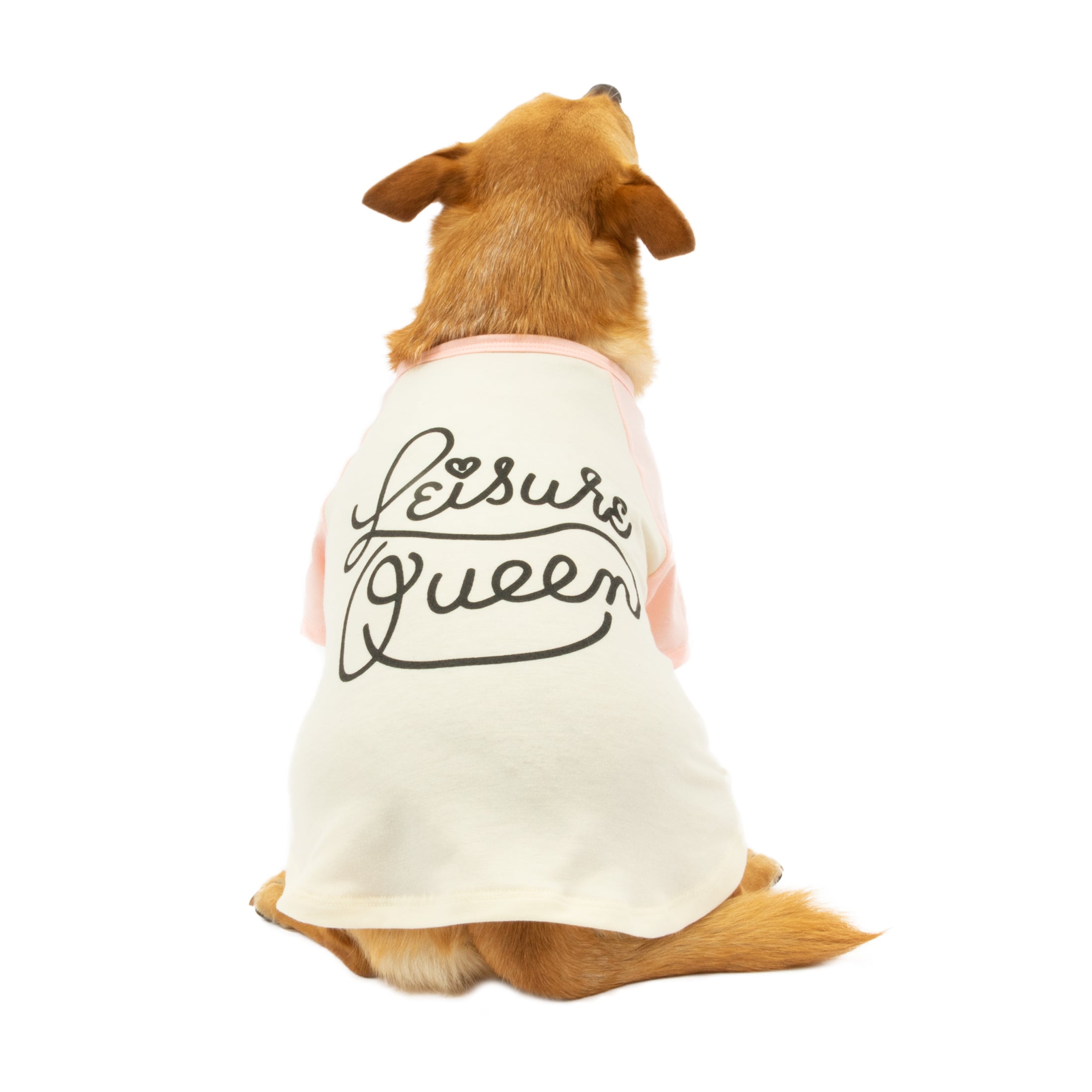 Vibrant Life Polyester Queen Graphic Dog and Cat T-Shirt， Pink， XXS