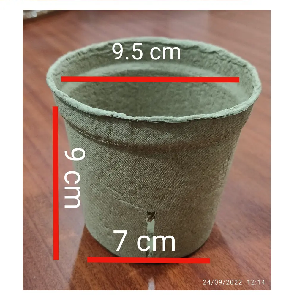 New  Good Quality Paper Pulp Eco Friendly Biodegradable Pot For Seed Starter And Seedling