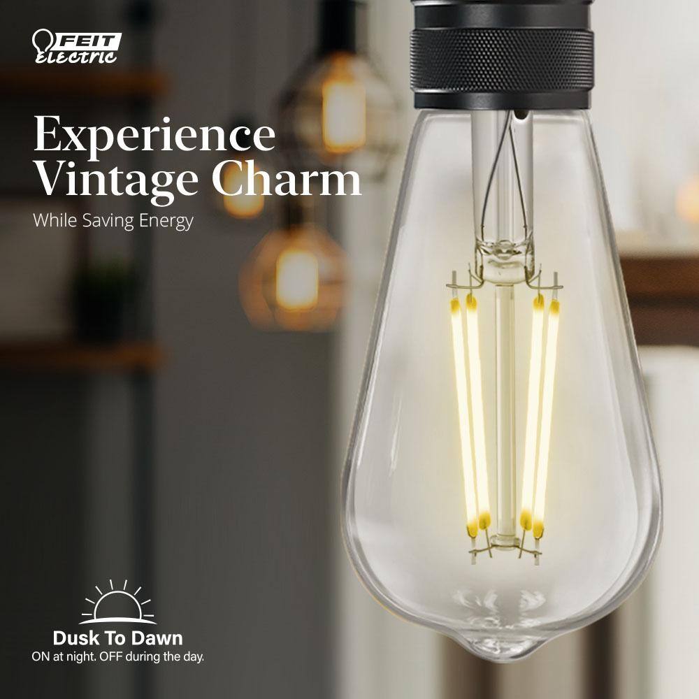 Feit Electric 60-Watt Equivalent ST19 Straight Filament Dusk to Dawn Clear Glass E26 Vintage Edison LED Light Bulb Bright White ST19CL930CADDHDRP