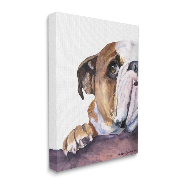 Stupell Industries Curious English Bulldog Gaze Pet Dog Portrait