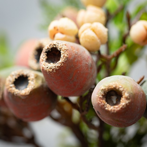 Sullivans Artificial Rosy Pod Bush With Foliage 15 quot h Brown