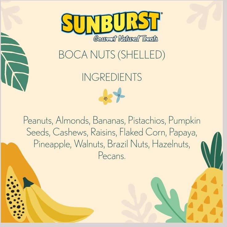 Higgins Sunburst Gourmet Treats No Shell Boca Nuts Macaw and Parrot Bird Treats， 20-lb bag