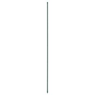 Vigoro 8 ft. Heavy-Duty Plant and Garden Stake 5506