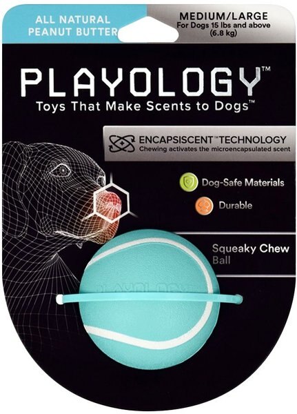 Playology Scented Squeaky Chew Ball Dog Toy