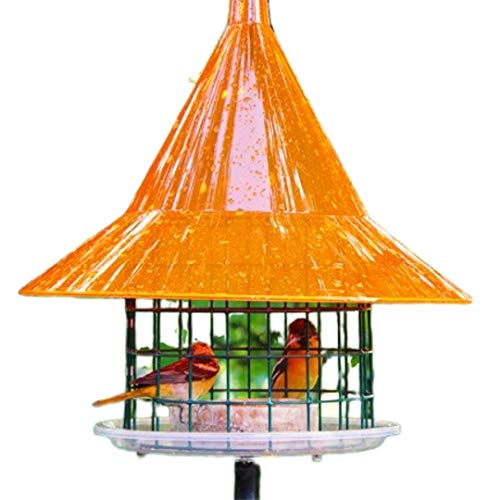 GC - Arundale - Oriole Feeder | Sky Cafe - Orange