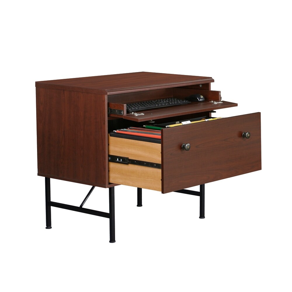 Saint Birch 2 Drawer Lateral File Drawer