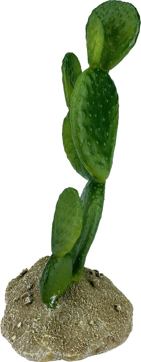 Komodo Cactus Prickly Pear Reptile Ornament， Green