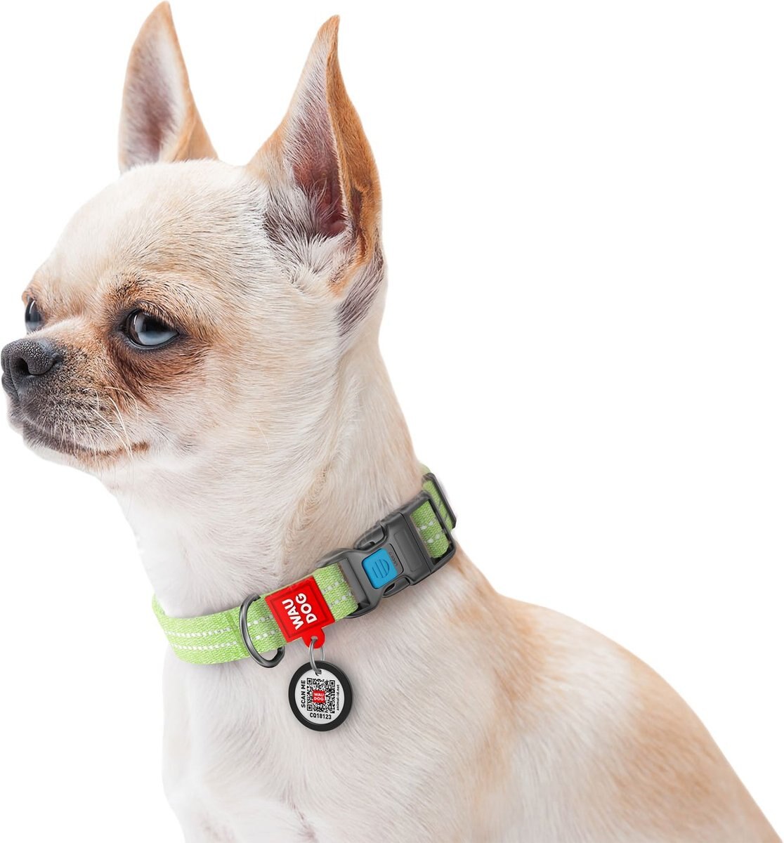 WAUDOG Re-Cotton w/QR passport Dog Collar